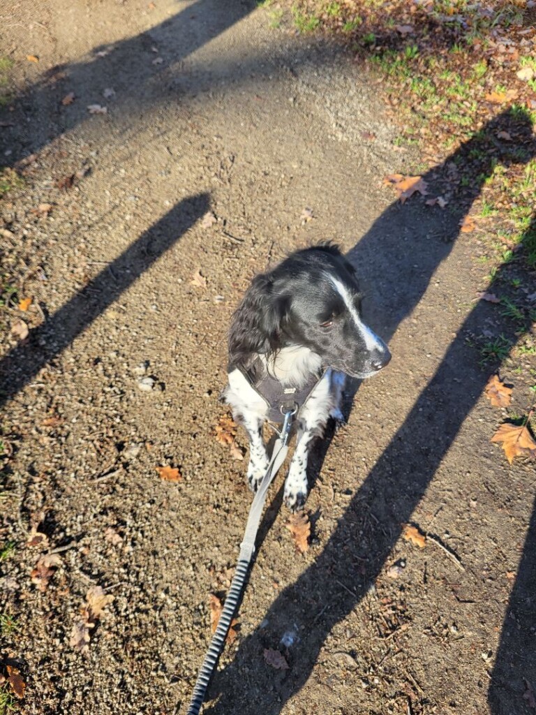 Twekkelerveld - Paars