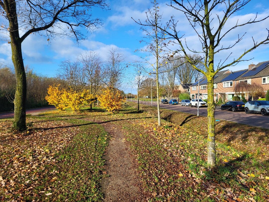 Twekkelerveld - Paars