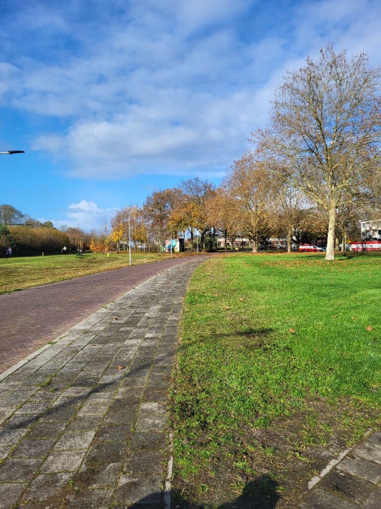 Twekkelerveld - Paars