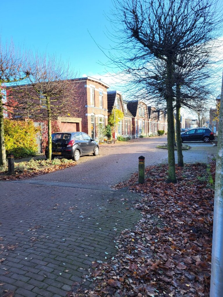 Twekkelerveld - Paars