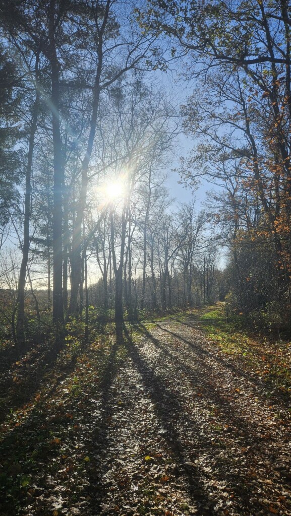 Wandelroute Gijsselterplassen