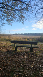 Wandelroute Gijsselterplassen