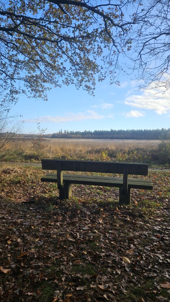 Wandelroute Gijsselterplassen