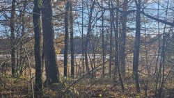 Wandelroute Gijsselterplassen