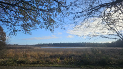 Wandelroute Gijsselterplassen