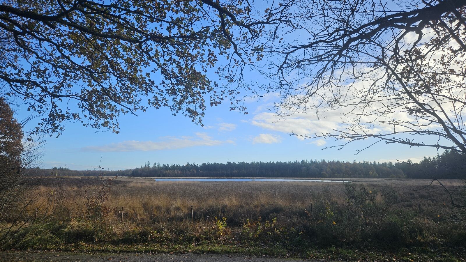 Wandelroute Gijsselterplassen