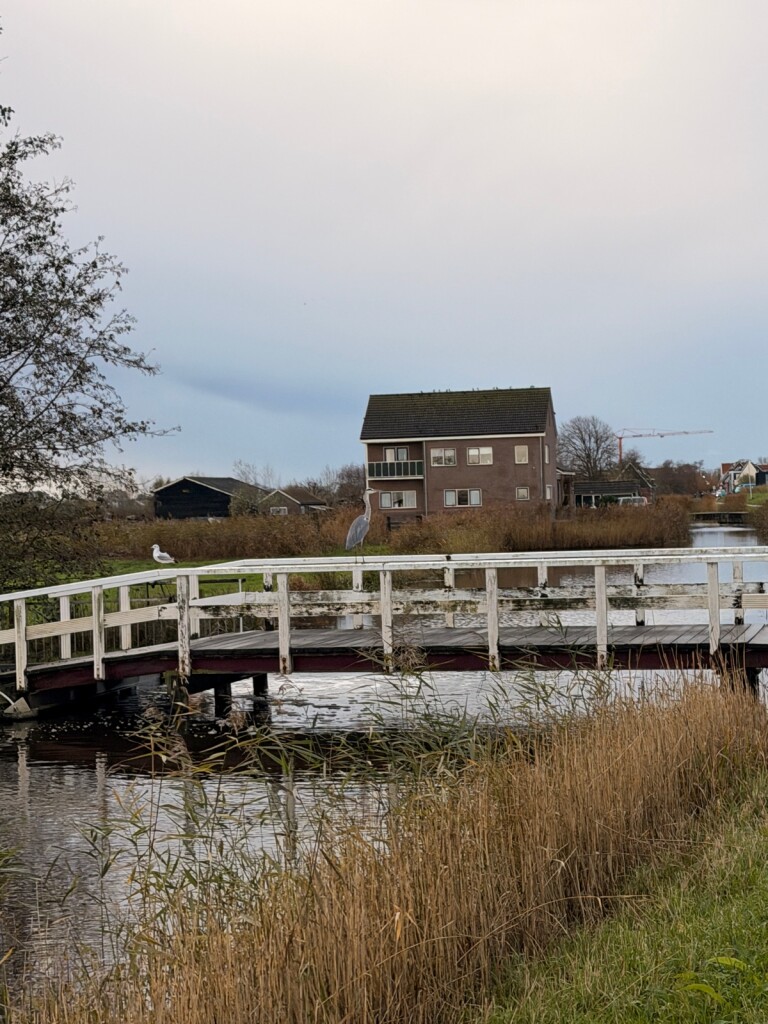 Graft - Wormer · Trekvogelpad etappe 3