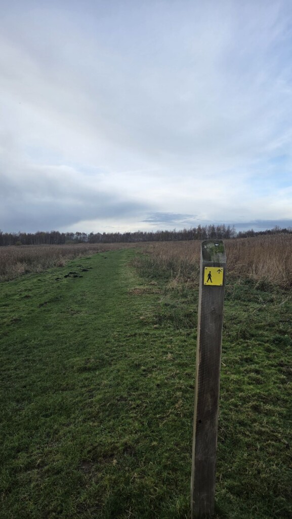 Wandelroute Ae's Woudbloem Scald Ae