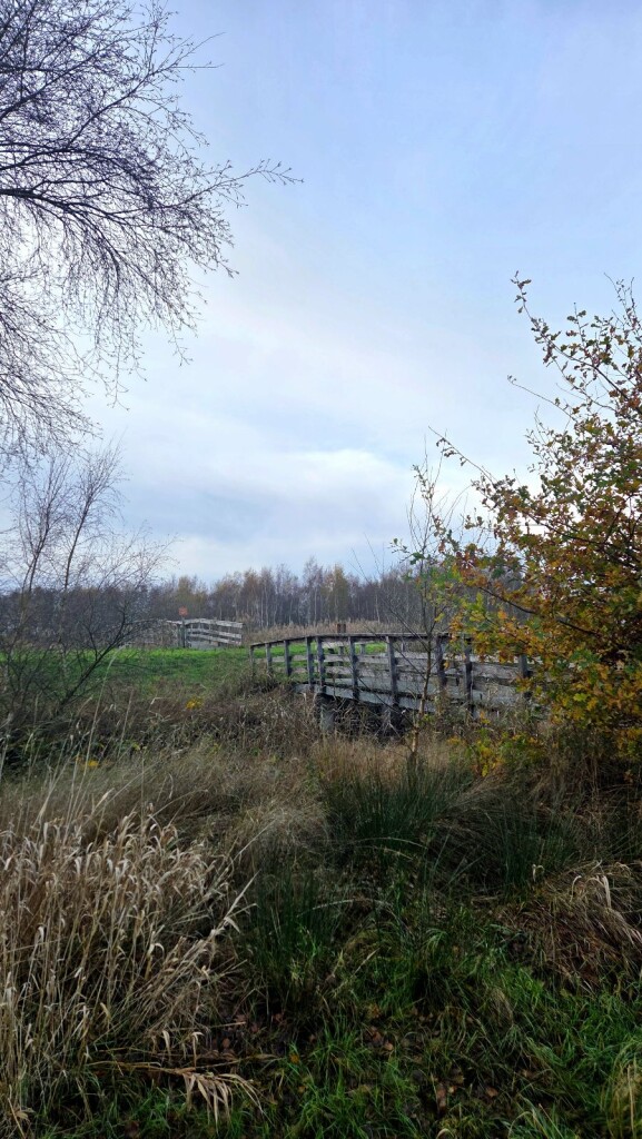 Wandelroute Ae's Woudbloem Scald Ae