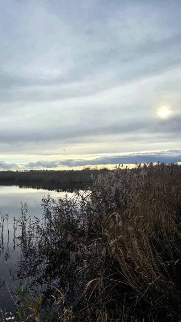 Wandelroute Ae's Woudbloem Scald Ae