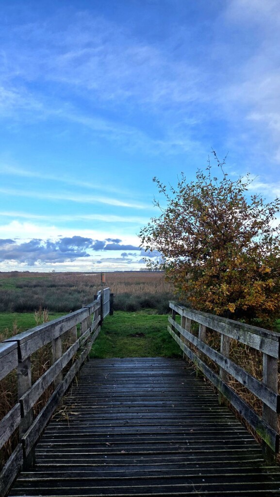 Wandelroute Ae's Woudbloem Scald Ae