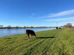 Laarzenpad Vreugderijkerwaard