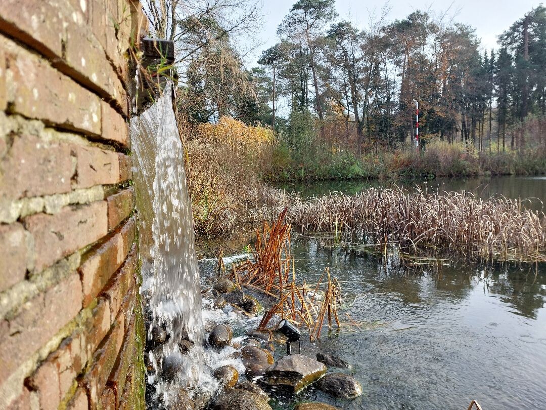 wandeling dour het bos