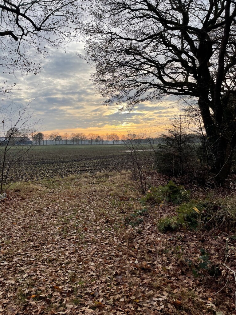 Rolde - Schoonloo · Pieterpad etappe 5