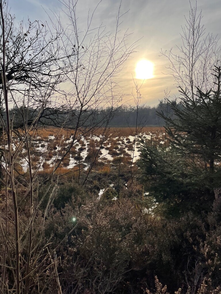 Rolde - Schoonloo · Pieterpad etappe 5