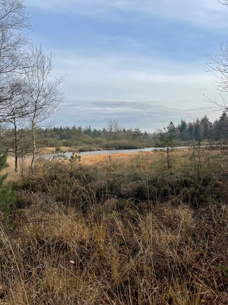 Rolde - Schoonloo · Pieterpad etappe 5