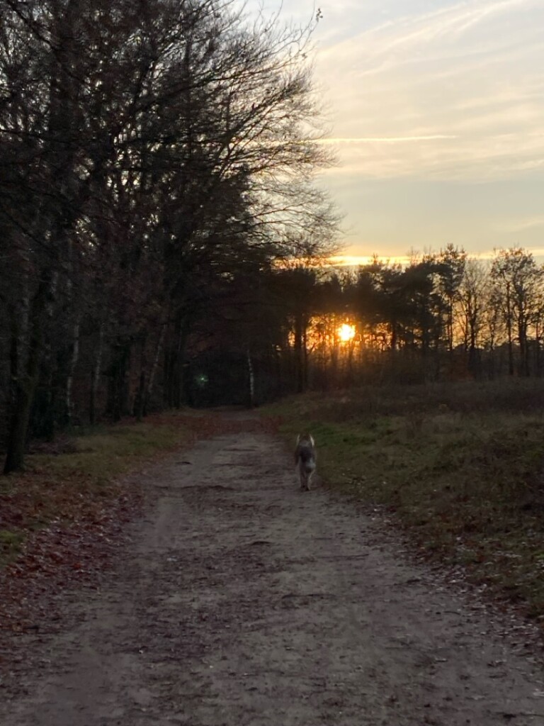 Wandelroute Tonnenberg