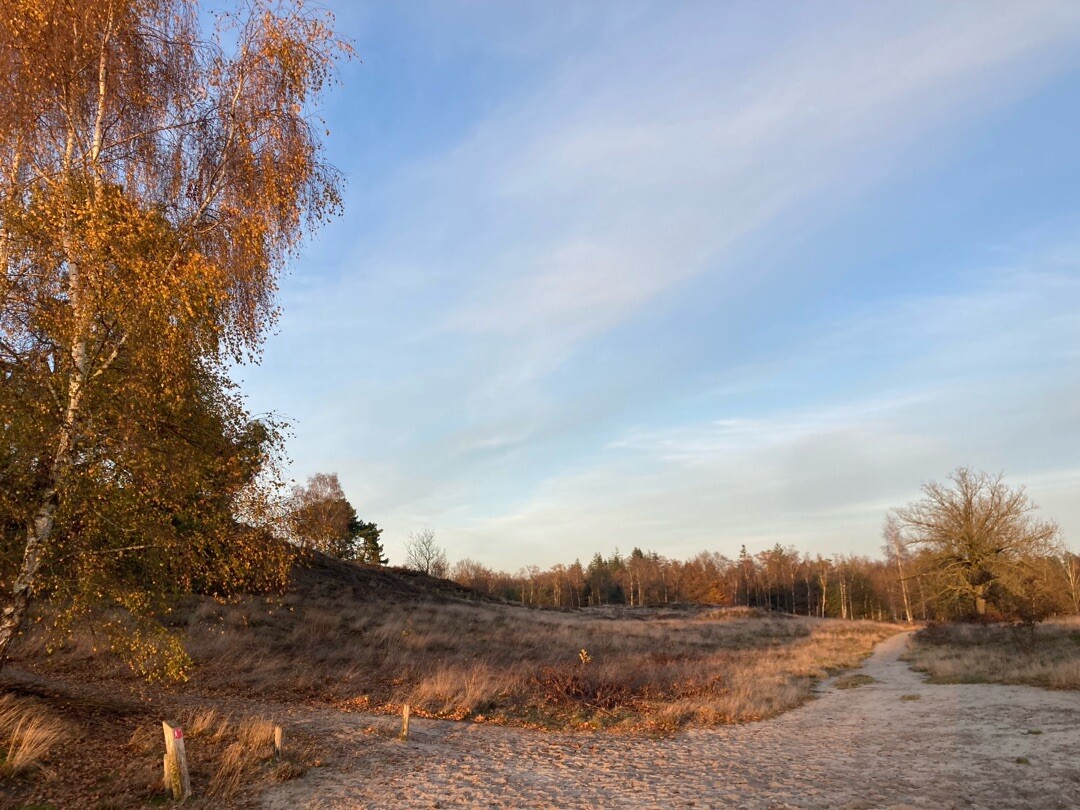 Wandelroute Tonnenberg