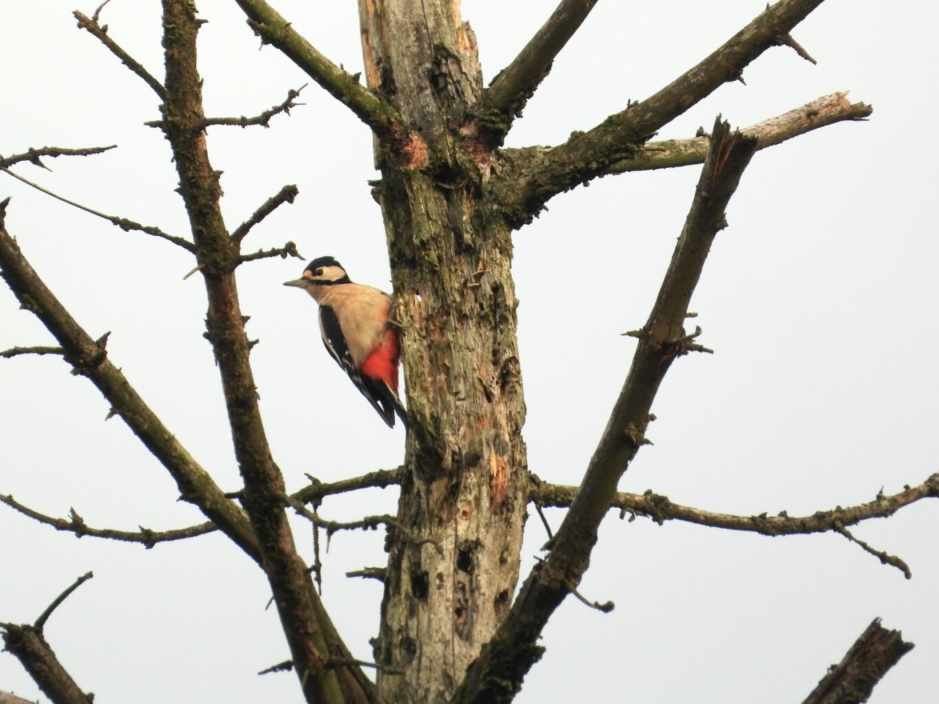 Wandelroute Tilgrup vallei