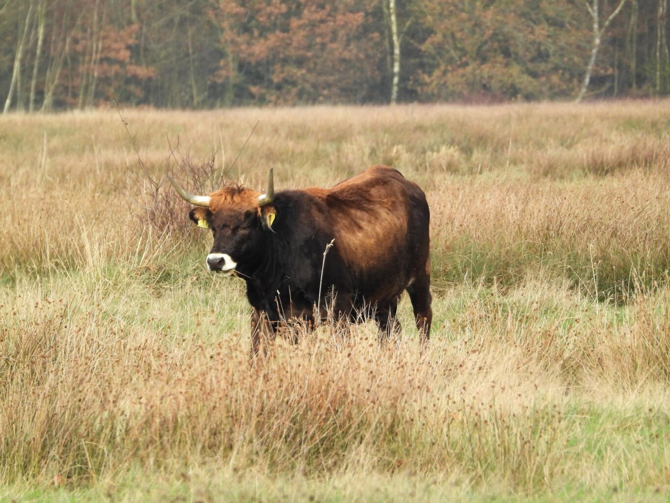 Wandelroute Tilgrup vallei