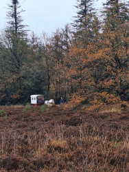 Ontdek het bos