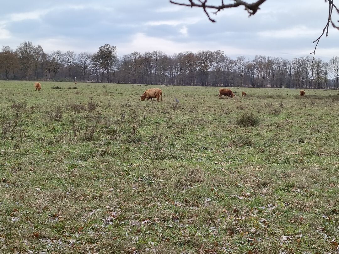 Wandelroute Takkenhoogte 5km