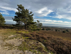 Lemelerberg - Blauw