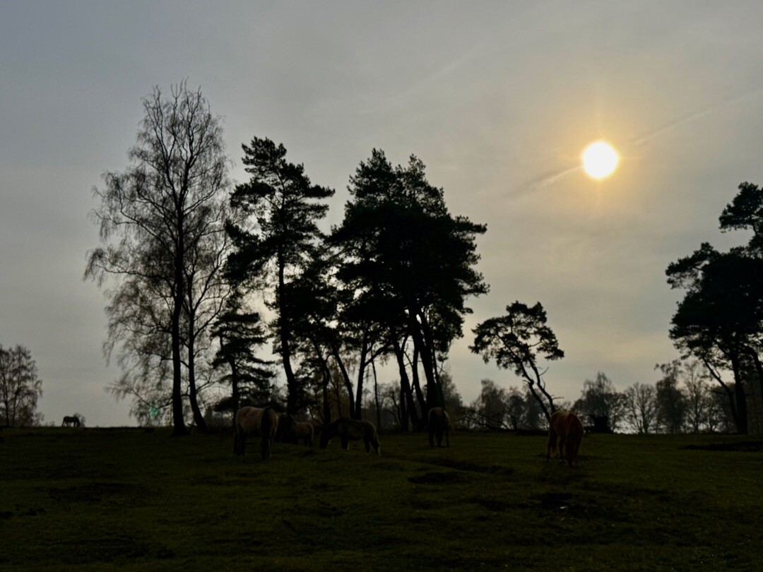 Amerongen - Rhenen · Trekvogelpad etappe 14