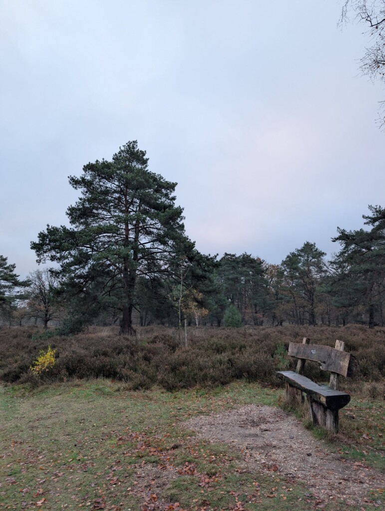 Bos & heideroute in Heumensoord