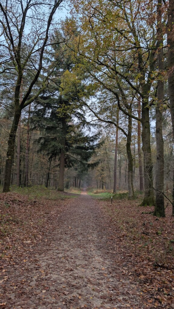 Bos & heideroute in Heumensoord