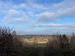Elsterberg