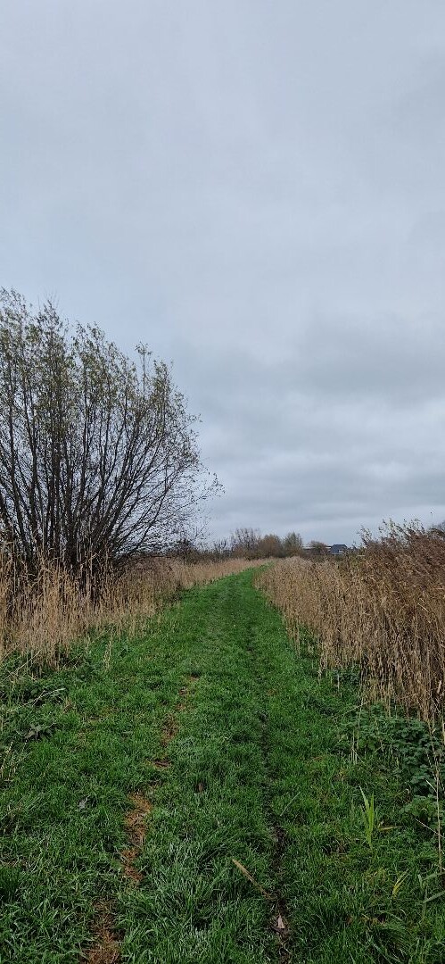 Blaricum - Bunschoten-Spakenburg · Zuiderzeepad etappe 9
