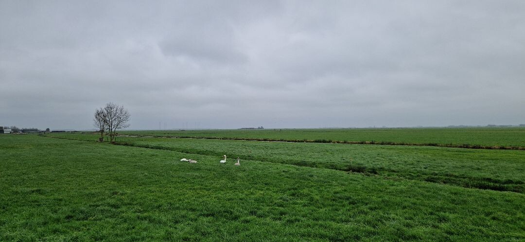 Blaricum - Bunschoten-Spakenburg · Zuiderzeepad etappe 9