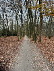 Ede Doesburgermolenpad
