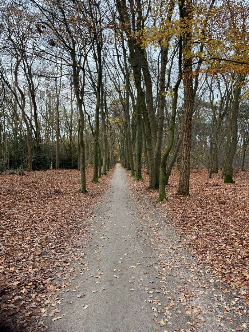 Ede Doesburgermolenpad