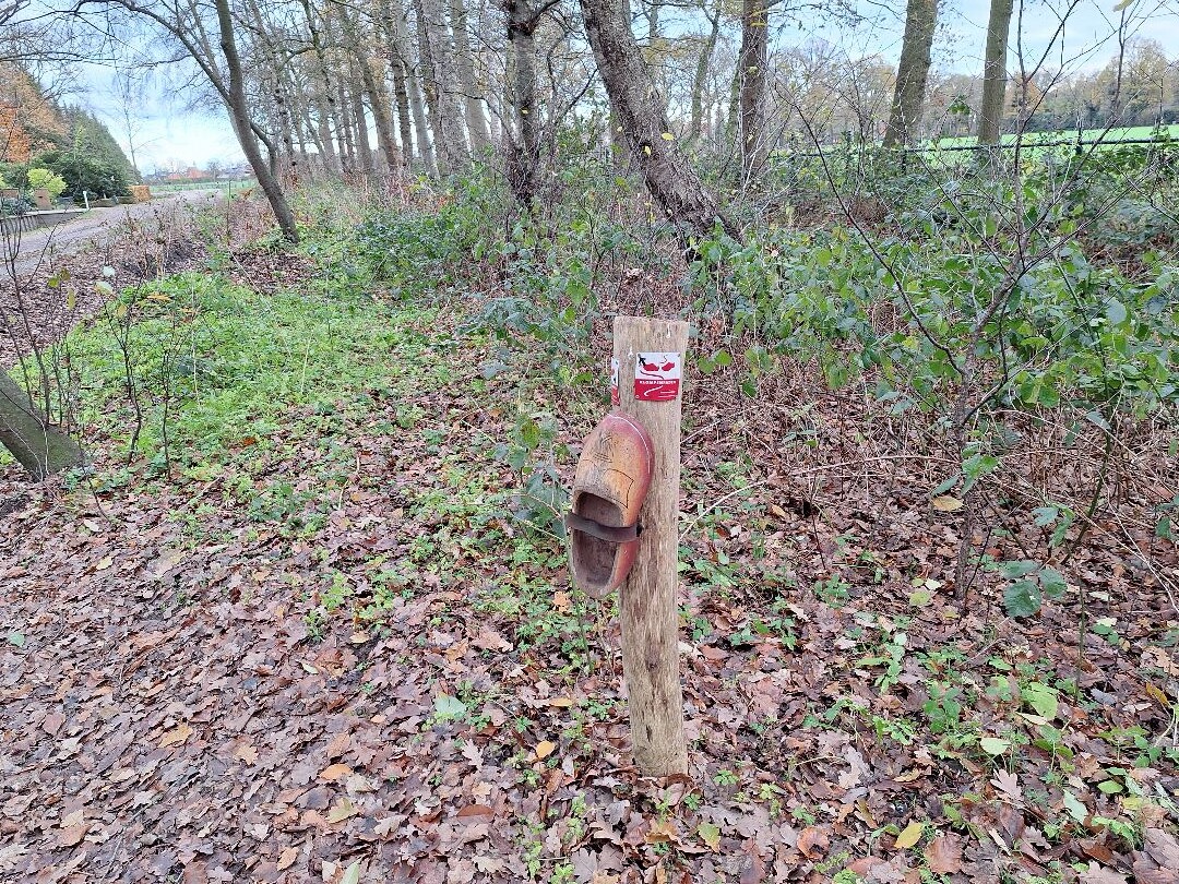 Harscamperpad Harskamp