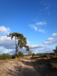 Wandelroute Kale Duinen