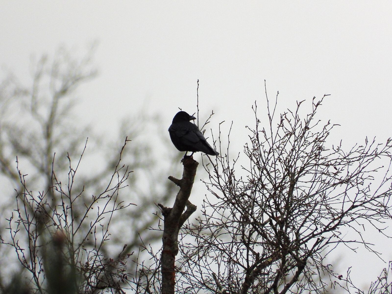 Wandelroute Kale Duinen