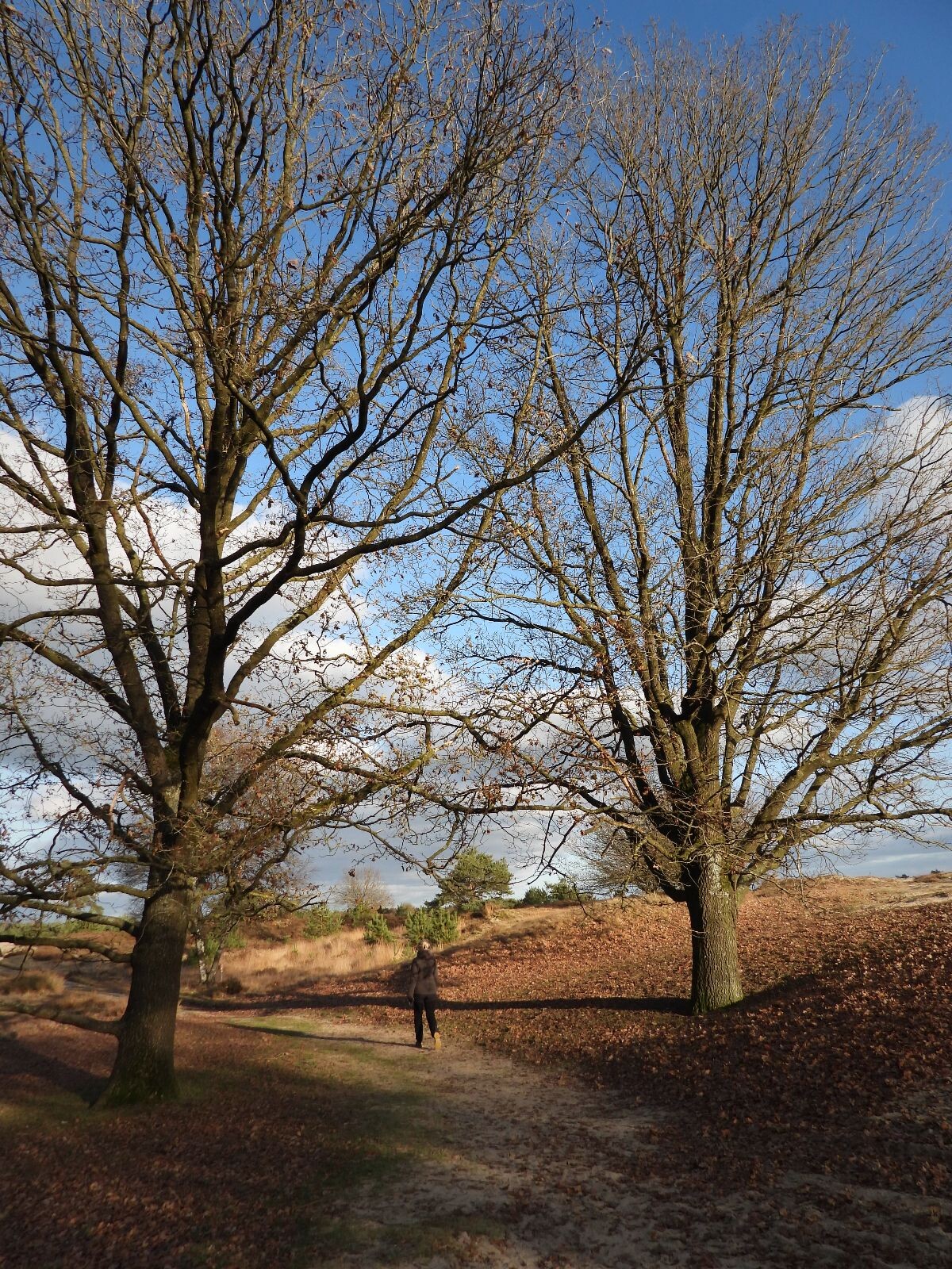 Wandelroute Kale Duinen
