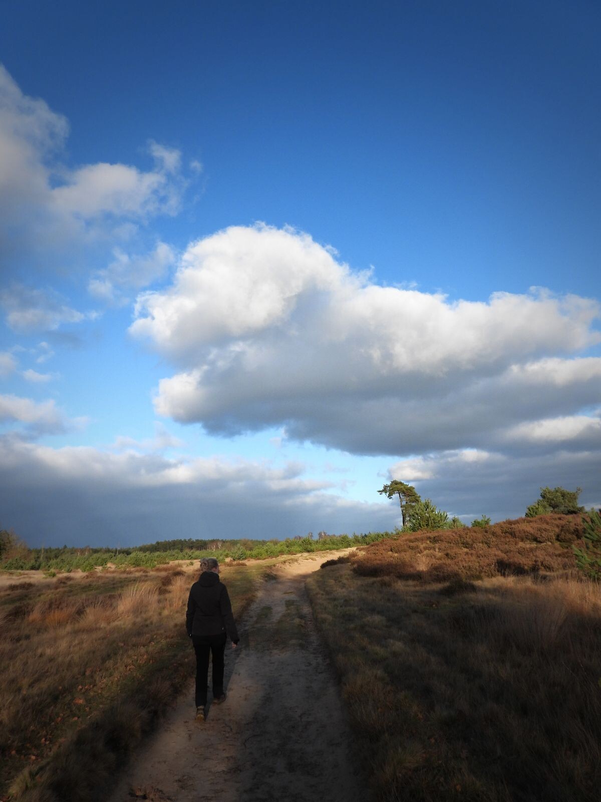 Wandelroute Kale Duinen