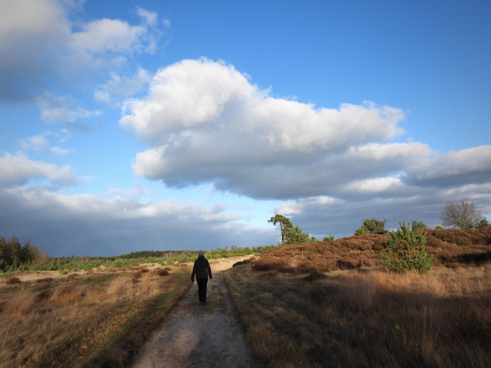 Wandelroute Kale Duinen