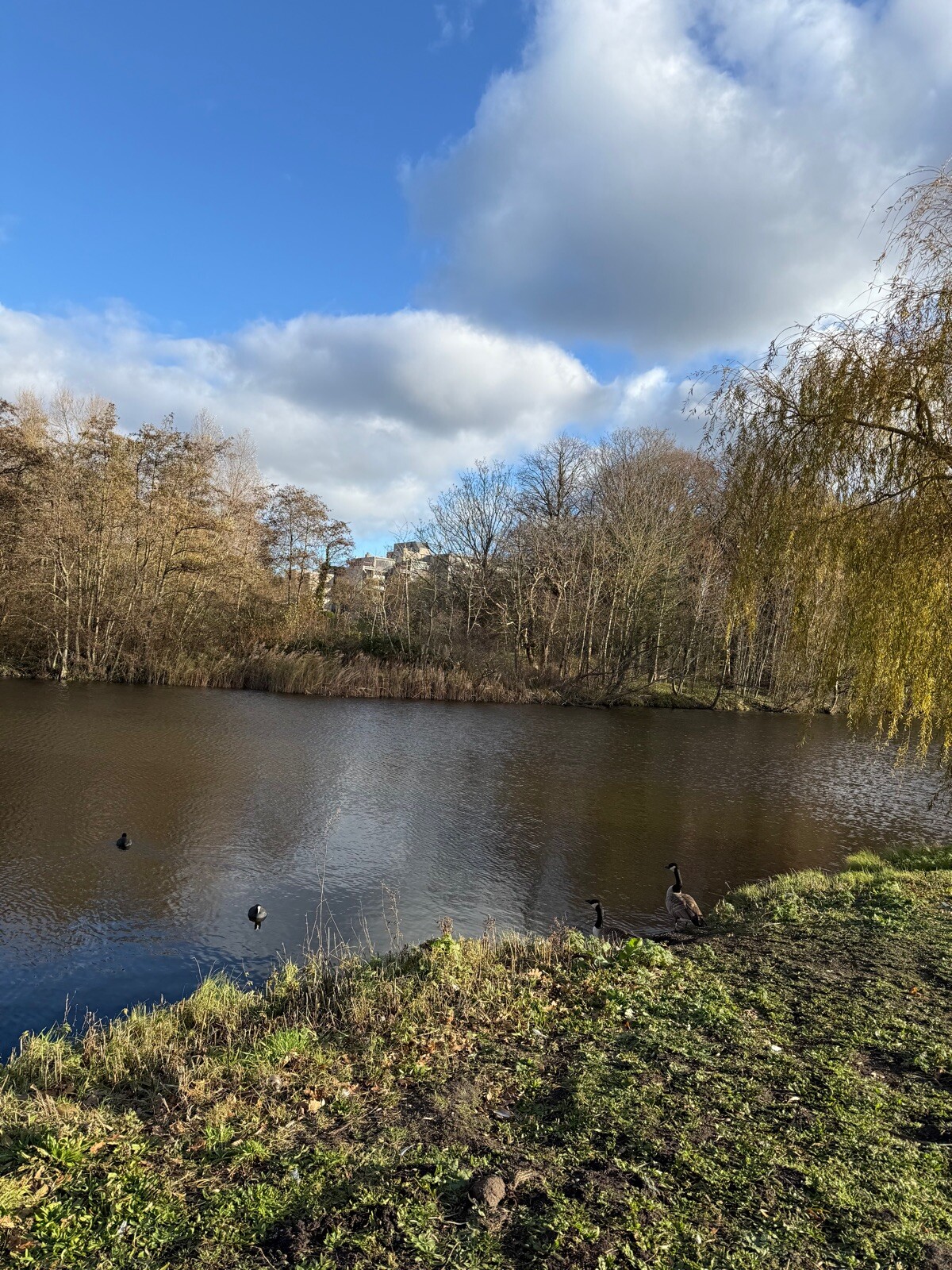 Water in Den Haag & Scheveningen