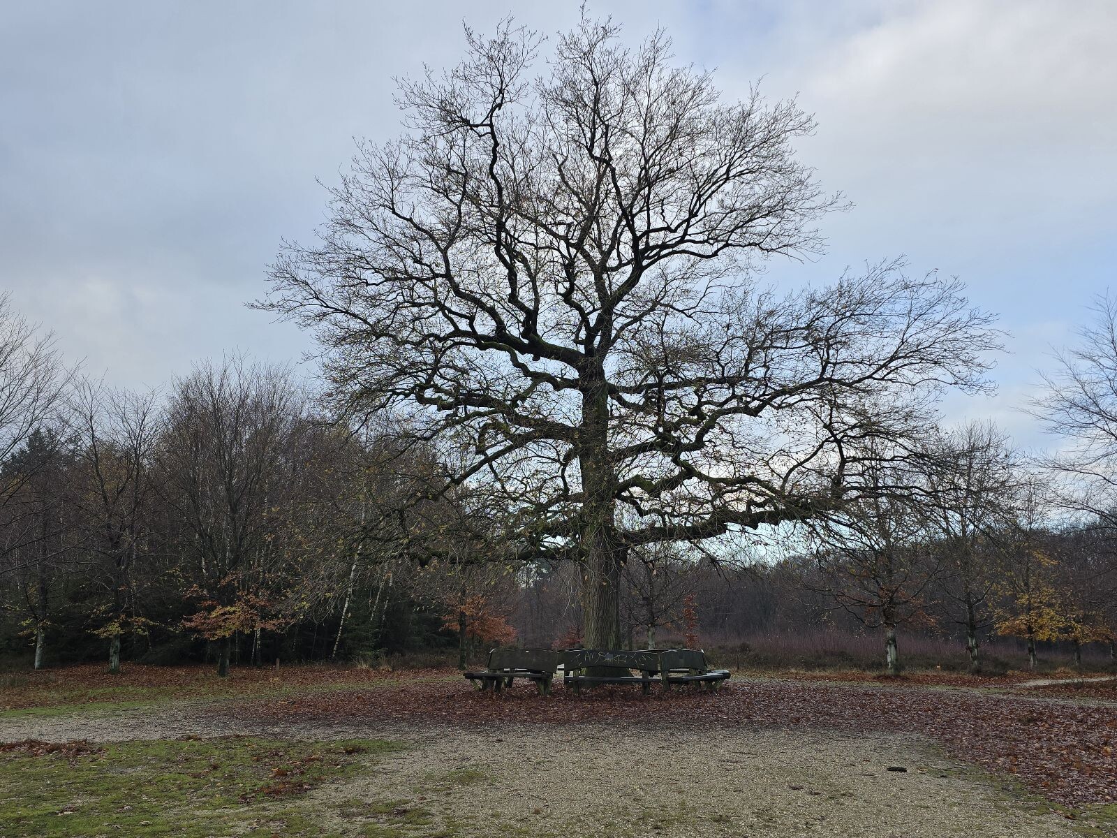 Utrechtse Mountain Trail