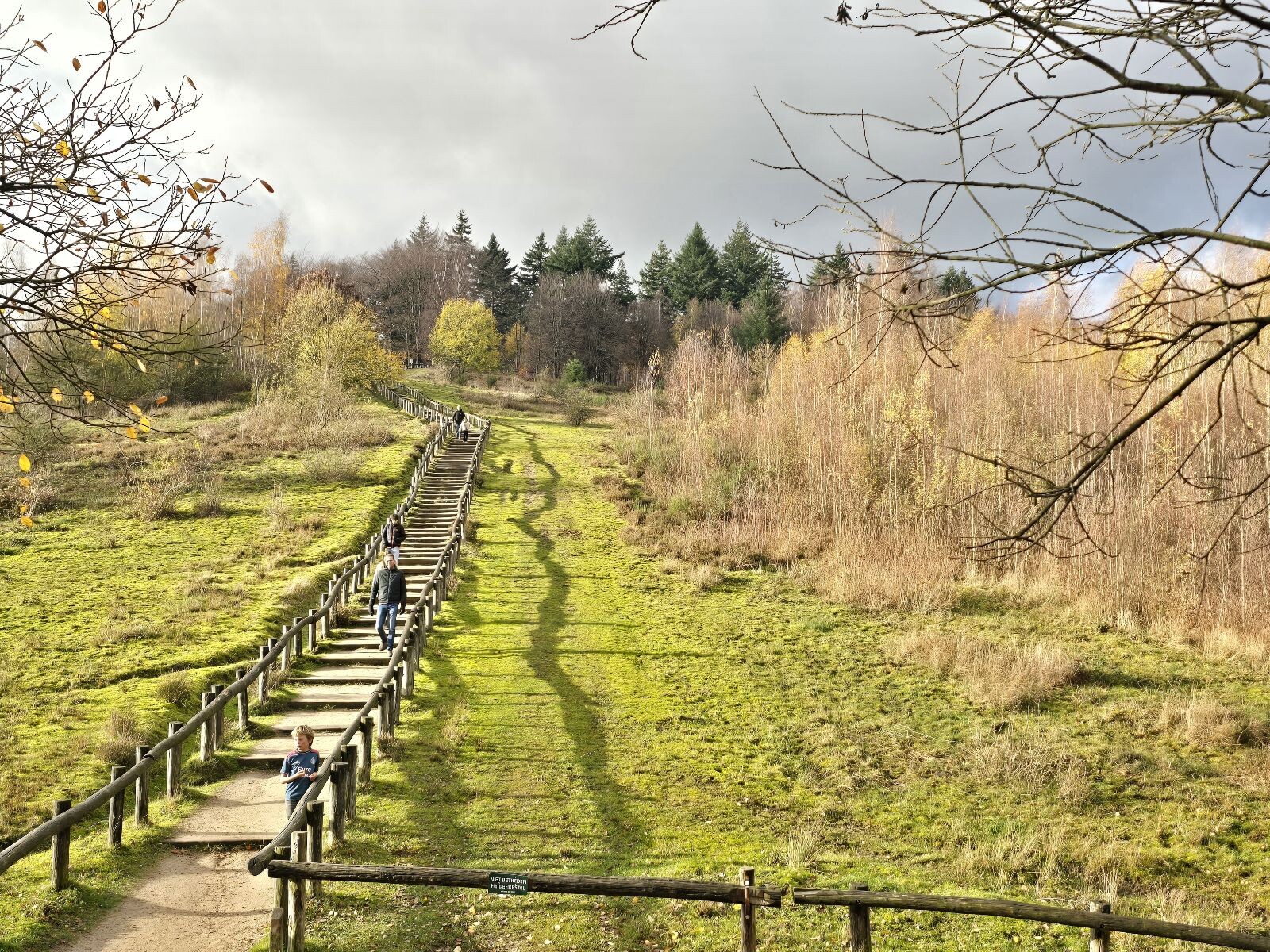 Utrechtse Mountain Trail