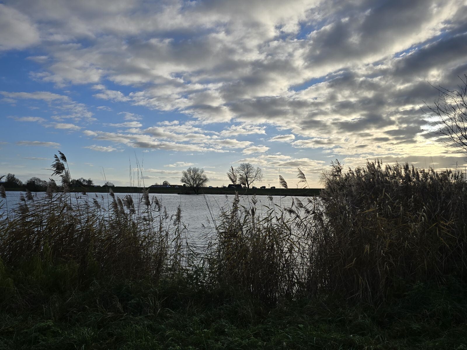 Rhenen - Stadsbossen - Rhenen · Utrechtse Mountain Trail etappe 9