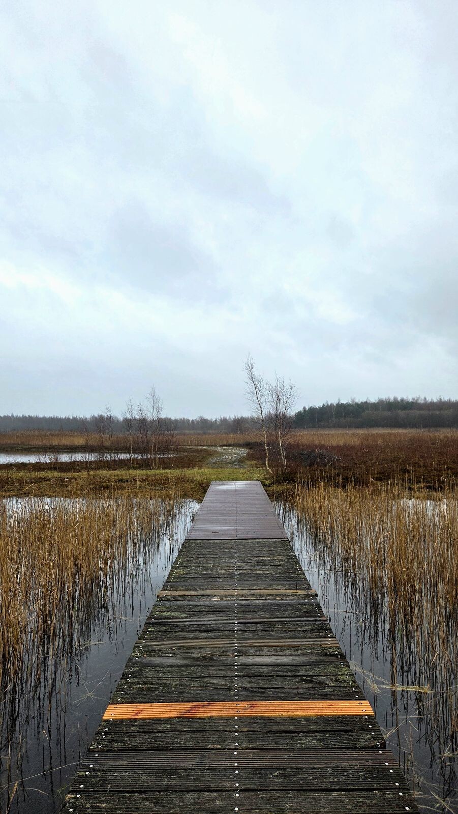 Wandelroute Heemtuin en Tussen de Venen