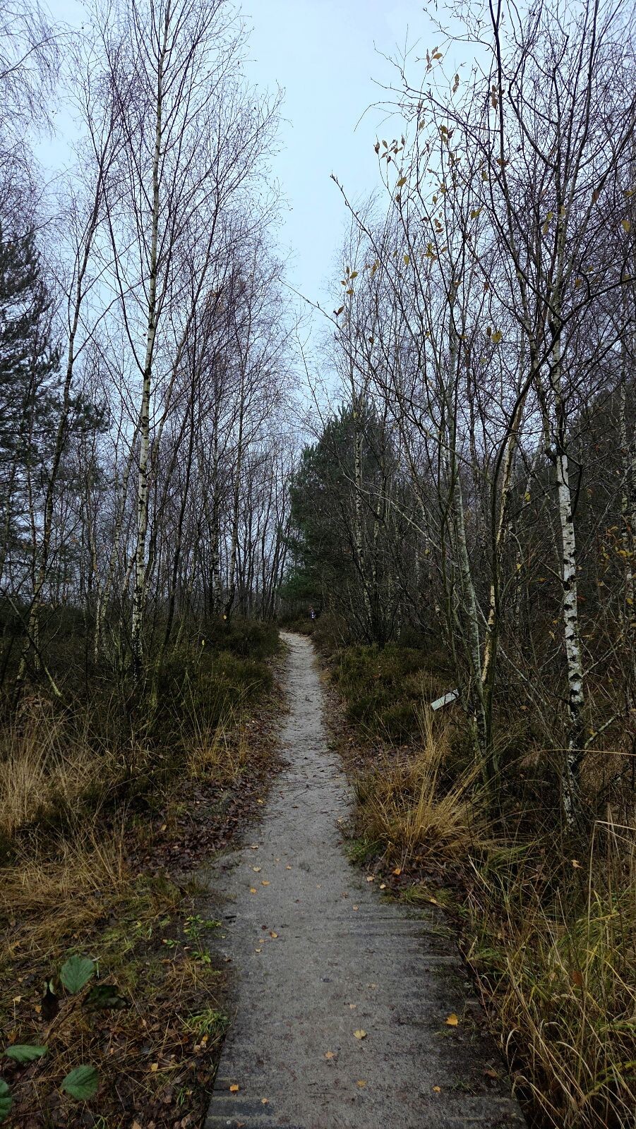 Wandelroute Heemtuin en Tussen de Venen