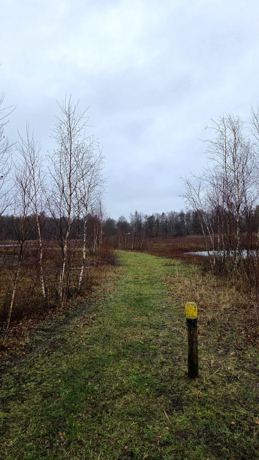 Wandelroute Heemtuin en Tussen de Venen
