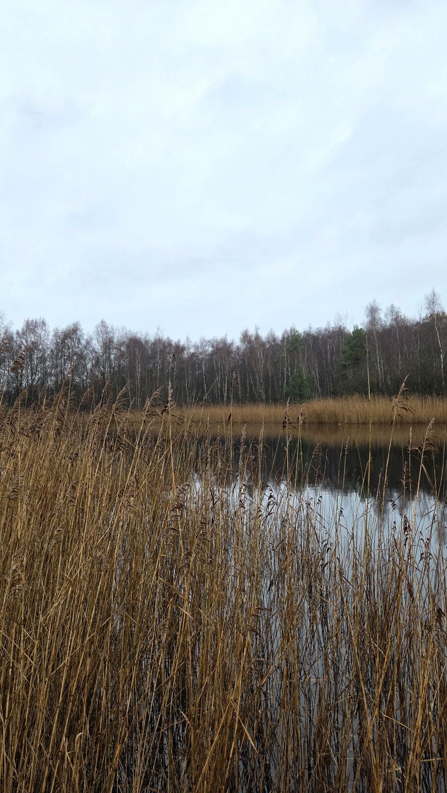 Wandelroute Heemtuin en Tussen de Venen