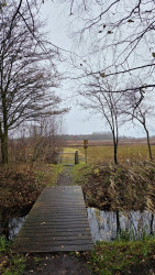 Wandelroute Heemtuin en Tussen de Venen